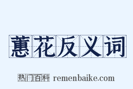 蕙花反义词是什么意思的图片